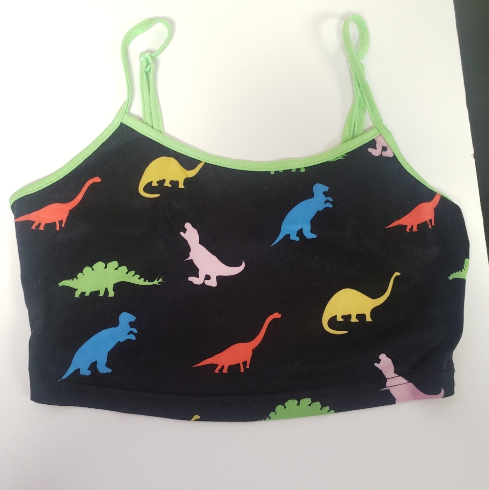 2/$15 Dinosaur Crop Top SHEIN XS